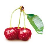 CHERRY (Ref: 099-08000)