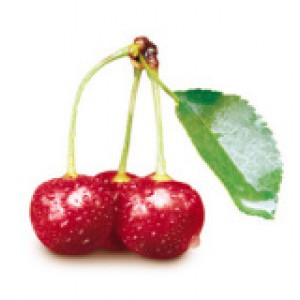 CHERRY (Ref: 099-08000)
