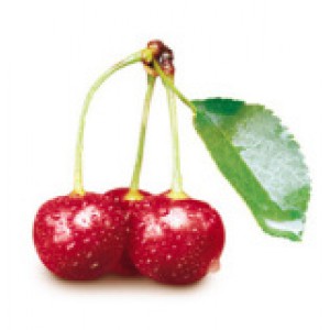 CHERRY (Ref: 099-08000)